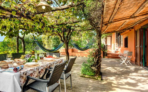 Villa Sorrentina With Panoramic Terrace: Mobilia, Pianta, Costruzione, Tavolo, Albero, Finestra, Sedia, Shade, Mobili Da Esterno, Immobiliare