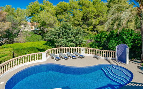 La Selva: Cielo, Pianta, Acqua, Proprietà, Albero, Azzurro, Natura, Blu, Piscina, Recinzione