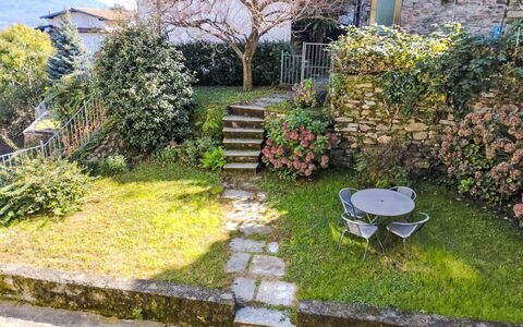 Delle Ortensie: Pianta, Proprietà, Albero, Costruzione, Manto Stradale, Vegetazione, Lotto, Erba, Finestra, Paesaggio Naturale