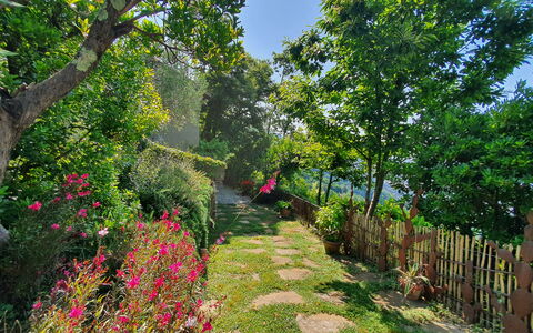 La Casa Sul Forte: Fiore, Verde, Natura, Vegetazione, Arbusto, Giardino, Primavera, Petalo, Giardino Botanico