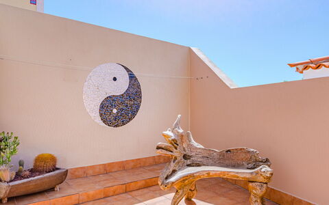 Mila Moon: Pianta, Vaso Di Fiori, Cielo, Arte, Legna, Costruzione, Parete, Fawn, Pianta Della Casa, Paesaggio