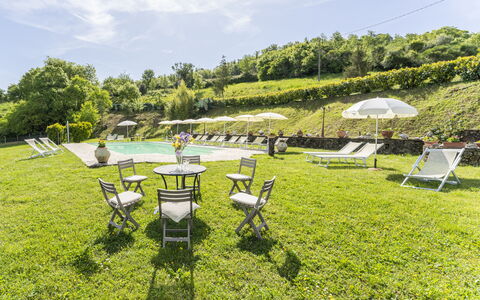 Marcigliana Cottage, Pool, Radicondoli: Erba, Paesaggio, Lotto, Groundcover, Giardino, Primavera, Prato, Mobili Da Esterno, Tempo Libero, Prato