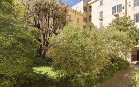Marsicum: Pianta, Costruzione, Finestra, Cielo, Ramo, Vegetazione, Luce Del Sole, Albero, Arbusto, Groundcover