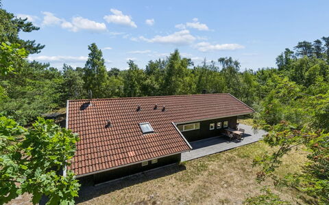 Aimo - 300M from the Sea: Vegetazione, Arbusto, Primavera, Villetta, Giardino, Shade, Backyard, Cortile, Sedia