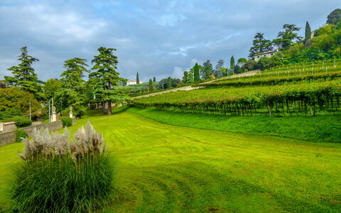 Il Vigneto, Verona, Pool, Wifi: Nube, Cielo, Pianta, Verde, Paesaggio Naturale, Albero, Lotto, Highland, Agricoltura, Plain