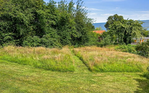 Ågot - 350M from the Sea: Erba, Verde, Foglia, Vegetazione, Arbusto, Pascolo, Comunita 'Impianto, Lotto, Groundcover