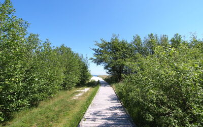 Amaru - 500M from the Sea