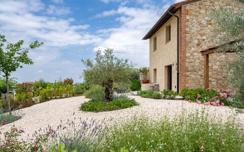 Punteriolo Spereto Family Apartment With Pool,: Fiore, Arbusto, Giardino, Groundcover, Landscaping, Pianta Erbacea, Giardino Botanico, Backyard, Cortile