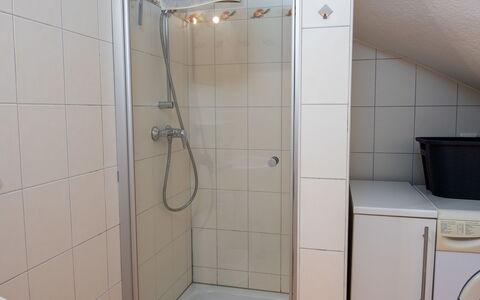 Norden 480: Idraulico Fixture, Bagno, Pavimentazione, Pavimento, Interior Design, Idraulico, Rubinetto, Lavello, Doccia, Camera