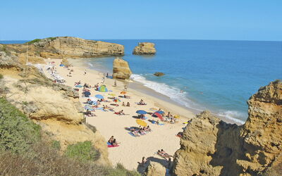 Rocha