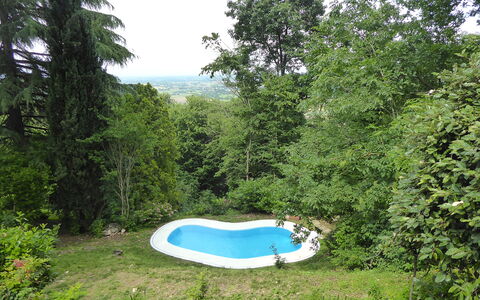 Casa Delle Eriche, Colli Euganei, Pool, Wifi: Giardino, Shade, Prato, Backyard, Landscaping, Piscina, Cortile, Woodland, Parco, Sempreverde