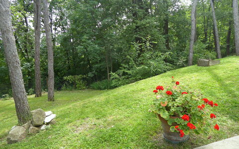Casa Delle Eriche, Colli Euganei, Pool, Wifi: Erba, Arbusto, Giardino, Prato, Groundcover, Primavera, Landscaping, Prato