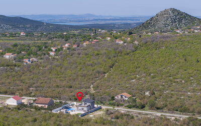 Gala