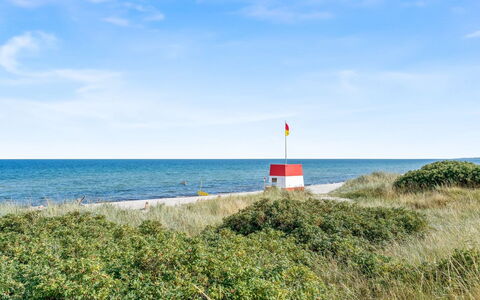 Rajna - 250M from the Sea: Blu, Estate, Ecoregione, Paesaggio, Mare, Lotto, Costa, Costiera E Morfologie Oceanic, Oceano, Prato