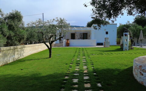 Villa Adriatica Near Ostuni Puglia: Cielo, Pianta, Proprietà, Albero, Nube, Lotto, Erba, Arbusto, Graminacee, Paesaggio