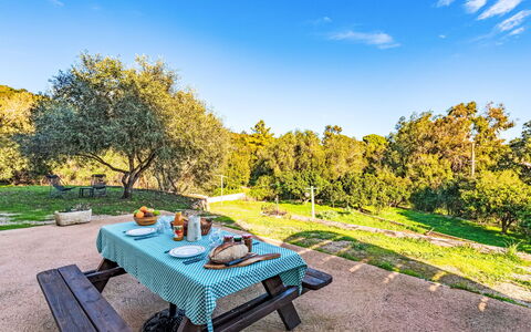Solenzara 700: Blu, Area Rurale, Luce Del Sole, Mobili Da Esterno, Giardino, Shade, Tavolo Da Picnic, Landscaping, Parco, Tavolo Esterno