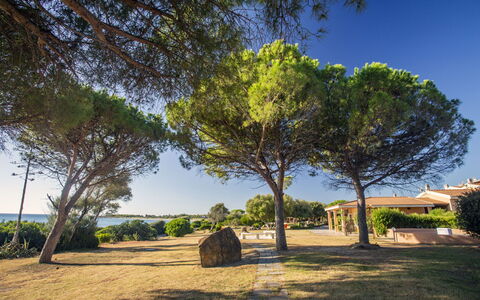 Bilocale Apartments Seaside: Cielo, Blu, Albero, Foglia, Tronco, Mattina, Luce Del Sole, Woody Impianto, Shade, Lago