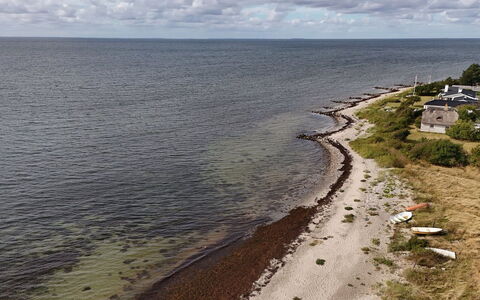 Svanborg - 40M from the Sea: Appartamento, Condominio, Estate, Balcone, Villa, Hotel