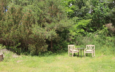 Mielikki - 2Km from the Sea: Vegetazione, Arbusto, Comunita 'Impianto, Lotto, Giardino, Groundcover, Riserva Naturale, Woody Impianto, Shrubland