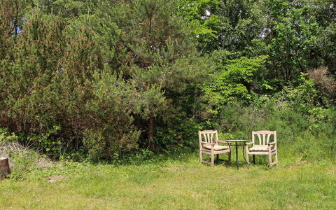 Mielikki - 2Km from the Sea: Vegetazione, Arbusto, Comunita 'Impianto, Groundcover, Giardino, Riserva Naturale, Mobili Da Esterno, Shrubland, Prato