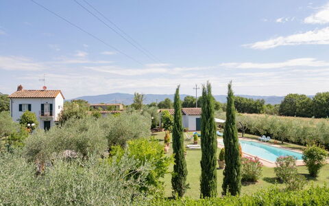Villa Elena: Arbusto, Lotto, Giardino, Estate, Piantagione, Agriturismo, Landscaping, Hedge, Cortile, Hacienda