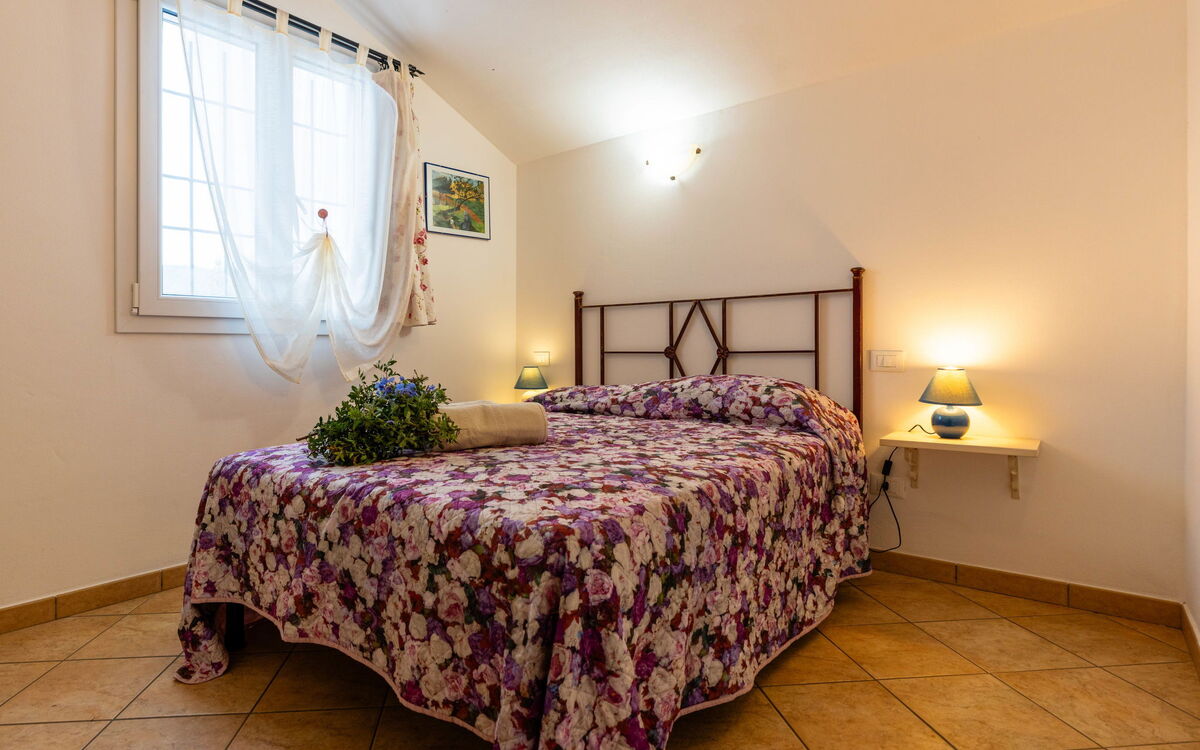 Alloggio:&nbsp;Olive Lodge 637.3
