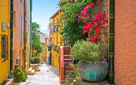 Collioure 150: Cielo, Pianta, Costruzione, Finestra, Manto Stradale, Shade, Albero, Asfalto, Lotto, Casa