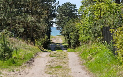 Dagino - 200M from the Sea: Vegetazione, Arbusto, Primavera, Villetta, Giardino, Shade, Backyard, Cortile, Sedia