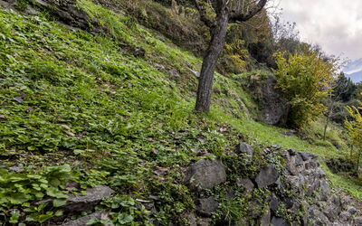 Borgonuovo Waterfall'S House