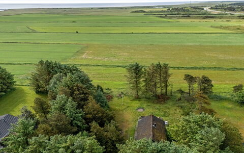 Brawith - 700M to the Fjord: Verde, Pascolo, Plain, Paesaggio, Campo, Ecoregione, Lotto, Area Rurale, Fotografia Aerea