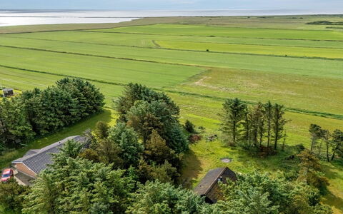 Brawith - 700M to the Fjord: Verde, Paesaggio Naturale, Pascolo, Plain, Campo, Paesaggio, Ecoregione, Lotto, Area Rurale, Piantagione