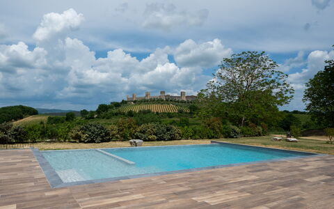 Le Volte, Borgo Campassini, Monteriggioni: Piscina, Giardino, Flagstone, Landscaping, Shade, Pavimento In Legno, Passerella, Backyard, Mobili Da Esterno, Piastrella