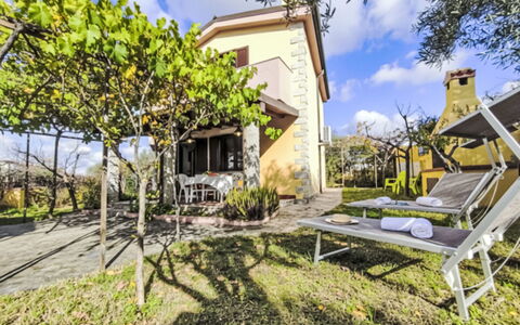 Remo: Zona Residenziale, Arbusto, Casa, Giardino, Estate, Landscaping, Sobborgo, Villetta, Shade, Cortile