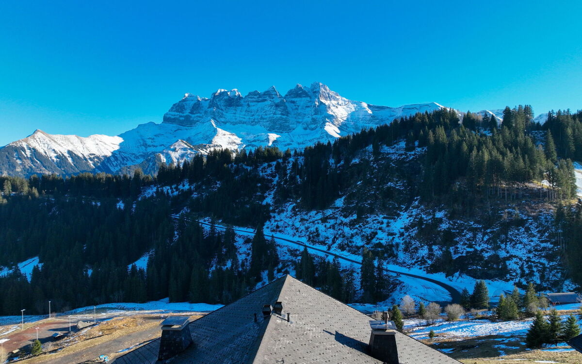 Edelweiss
