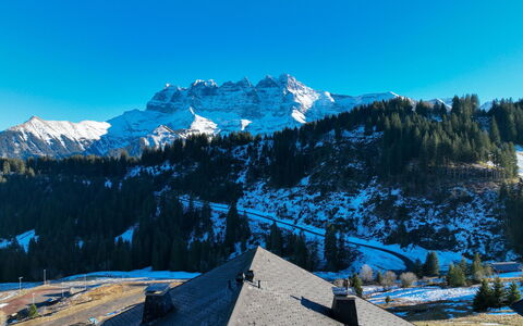 Edelweiss: Montagna, Geografia Montane, Neve, Inverno, Natura, Catena Montuosa, Collina, Highland, Terreno, Paesaggio