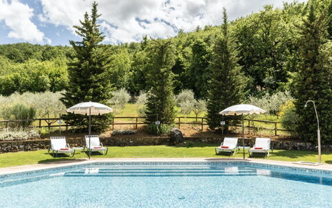 Podere Monti: Mobilia, Piscina, Ricorrere, Mobili Da Esterno, Lettino, Larice, Giochi D'Acqua, Eco Hotel, Terme