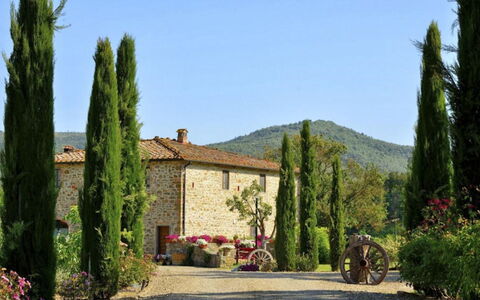 Mulino della Villa: Arbusto, Giardino, Landscaping, Piantagione, Sempreverde, Pine Famiglia