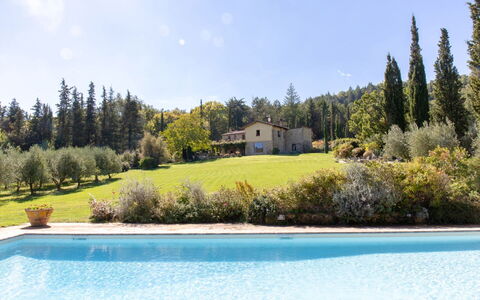 Villa la Felce: Albero, Arbusto, Estate, Giardino, Piscina, Landscaping, Agriturismo, Larice, Hacienda, Villa