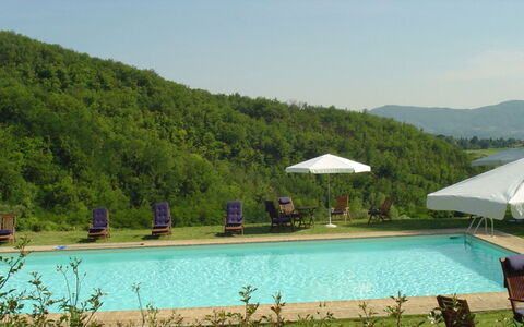 Magnolia e Camelia: Piscina, Mobili Da Esterno, Tempo Libero, Ricorrere, Eco Hotel, Hill Station, Lettino, Resort Citta ', Ombrello, Landscaping