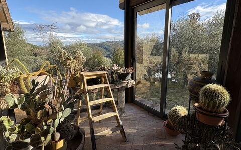 Poggio Aperto: Vaso Di Fiori, Giardino, Landscaping, Pianta Della Casa, Backyard, Struttura Esterna