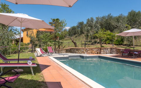 Bellaria: Piscina, Estate, Hacienda, Giardino, Ricorrere, Landscaping, Eco Hotel, Backyard, Villa, Lettino
