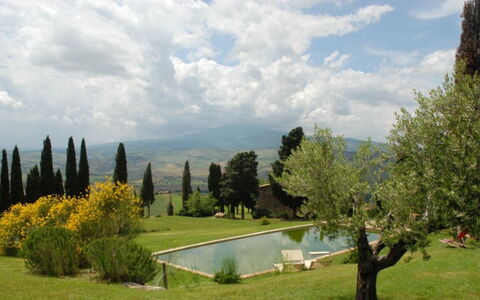 Vallocchie: Albero, Erba, Paesaggio, Plain, Lotto, Giardino, Landscaping, Prato, Prato