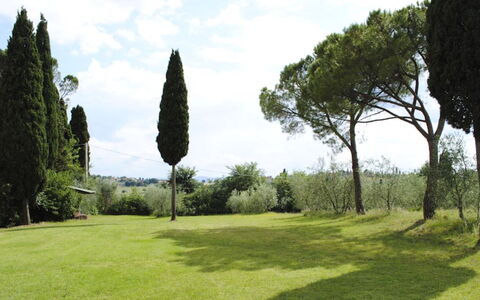 Villa Il Poggio: Erba, Albero, Foglia, Ramo, Arbusto, Lotto, Pascolo, Plain, Tronco
