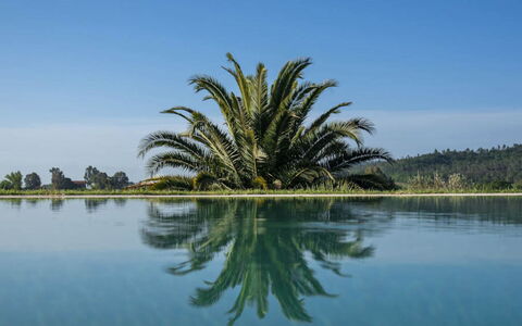 Villa Moscato: Blu, Acqua, Corpo D'Acqua, Riflessione, Lago, Piscina, Serbatoio, Tropici, Reflecting Pool