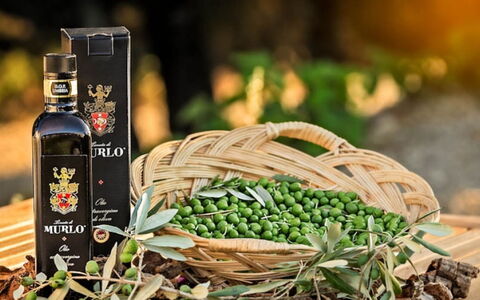 Villa Savino: Bottiglia, Vino, Bottiglia Di Vetro, Cibo, Produrre, Natural Foods