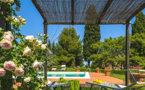 Podere Contignano: Arbusto, Giardino, Primavera, Landscaping, Shade, Backyard, Cortile, Eco Hotel, Hacienda, Giardino Botanico