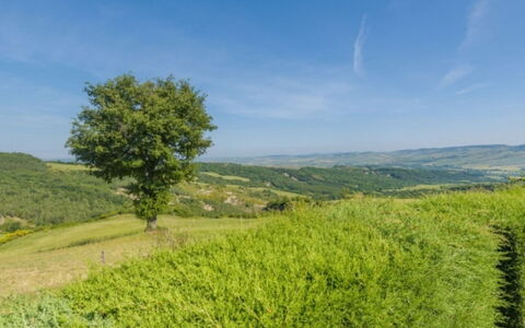 Podere del Mezzadro: Verde, Ambiente Naturale, Erba, Natura, Pascolo, Paesaggio Naturale, Vegetazione, Collina, Paesaggio, Ecoregione