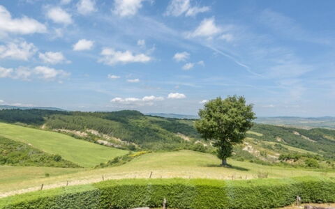Podere del Mezzadro: Cielo, Verde, Erba, Ambiente Naturale, Natura, Pascolo, Paesaggio Naturale, Collina, Vegetazione