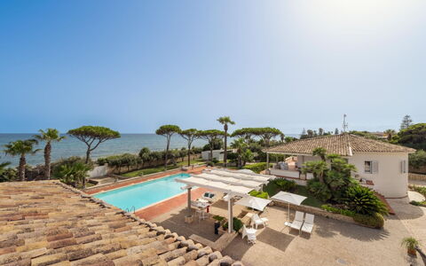 Villa delle Palme: Mare, Costa, Zona Residenziale, Costiera E Morfologie Oceanic, Oceano, Ricorrere, Estate, Riva, Baia, Sobborgo