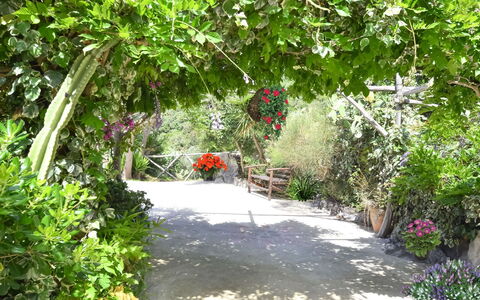 Villa Campanella: Fiore, Vegetazione, Arbusto, Giardino, Primavera, Fiorai, Giardino Botanico, Passerella, Trail